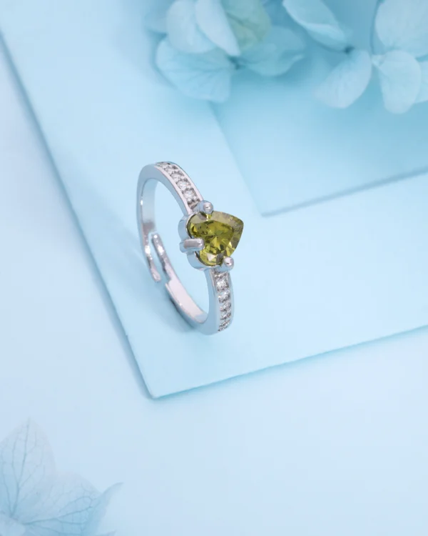 Premium Silver Ring